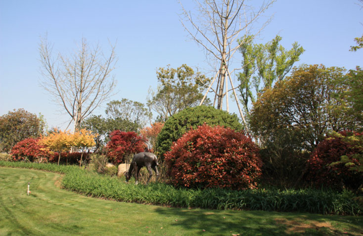 東錢(qián)湖“御景灣”景觀工程